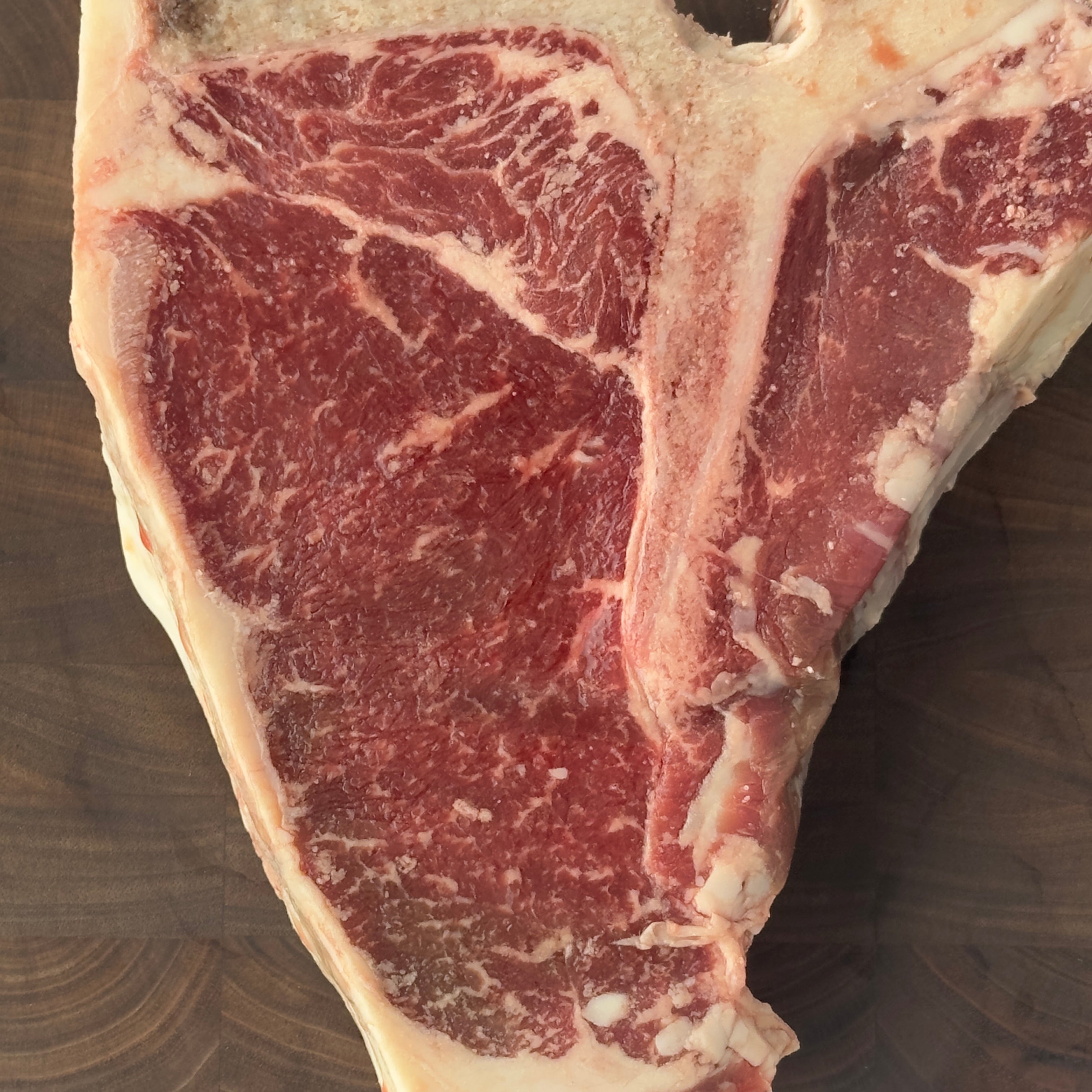 T-Bone